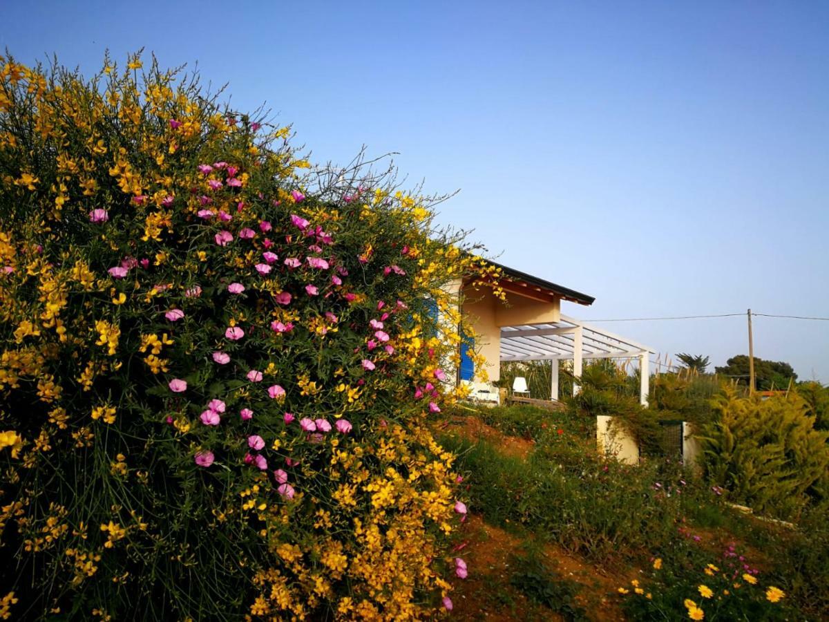 شقة Casa Collis سان ليون المظهر الخارجي الصورة
